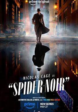 暗影蜘蛛俠 Spider-Noir線上看