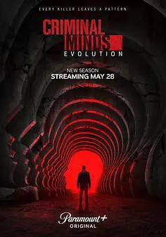 犯罪心理：演變 第十九季 Criminal Minds: Evolution Season 19線上看