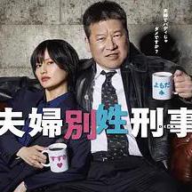 夫婦別姓刑警 夫婦別姓刑事線上看