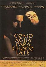 巧克力情人 Como agua para chocolate線上看