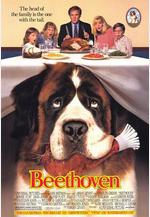 無敵當家 Beethoven線上看