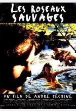 野蘆葦 Les roseaux sauvages線上看