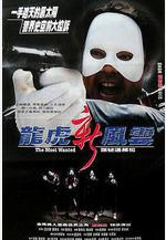 龍虎新風雲線上看