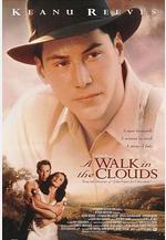 雲中漫步 A Walk in the Clouds線上看