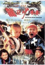 龍在少林線上看