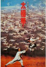 功夫小子闖情關線上看