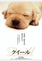 導盲犬小Q クイール線上看