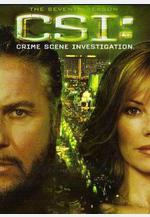 犯罪現場調查 第七季 CSI: Crime Scene Investigation Season 7線上看