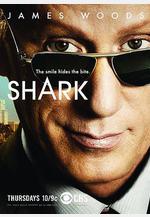 律政狂鯊 第一季 Shark Season 1線上看