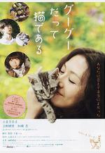 咕咕是一隻貓 グーグーだって貓である線上看