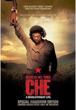 切·格瓦拉傳：游擊隊 Che: Part Two線上看