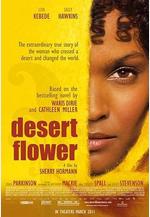 沙漠之花 Desert Flower線上看