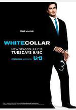 妙警賊探 第二季 White Collar Season 2線上看
