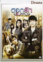 愛在路上 ดอกรักริมทาง線上看