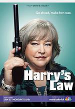 鞋店事務所 第一季 Harry’s Law Season 1線上看