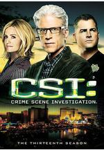 犯罪現場調查 第十三季 CSI: Crime Scene Investigation Season 13線上看