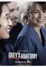 實習醫生格蕾 第十季 Grey's Anatomy Season 10線上看