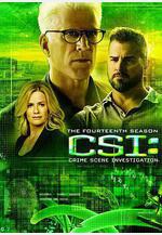 犯罪現場調查 第十四季 CSI: Crime Scene Investigation Season 14線上看