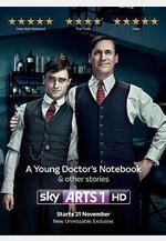 一位年輕醫生的筆記 第二季 A Young Doctor's Notebook Season 2線上看