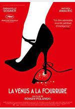 穿裘皮的維納斯 La Vénus à la fourrure線上看