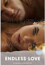無盡的愛 Endless Love線上看