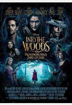 魔法黑森林 Into the Woods線上看