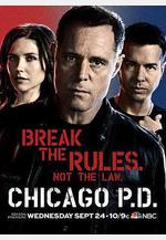 芝加哥警署 第二季 Chicago P.D. Season 2線上看