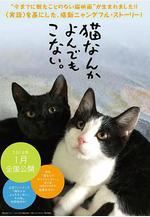 爲什麼貓都叫不來 貓なんかよんでもこない。線上看