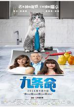 九條命 Nine Lives線上看