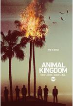 野獸家族 第一季 Animal Kingdom Season 1線上看