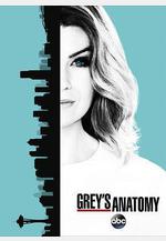 實習醫生格蕾 第十三季 Grey's Anatomy Season 13線上看