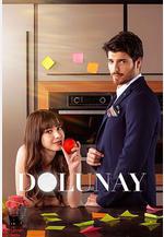 滿月 Dolunay線上看