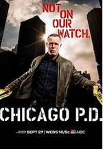 芝加哥警署 第五季 Chicago P.D. Season 5線上看