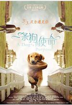 一條狗的使命 A Dog's Purpose線上看