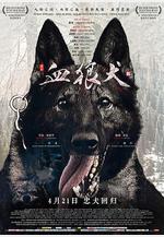血狼犬線上看