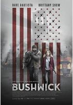 布希維克 Bushwick線上看
