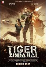猛虎還活著 Tiger Zinda Hai線上看
