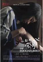 笨鳥線上看