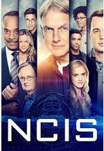 海軍罪案調查處 第十六季 NCIS: Naval Criminal Investigative Service Season 16線上看