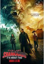 鯊捲風6：最後的鯊捲風 The Last Sharknado: It's About Time線上看