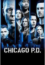 芝加哥警署 第六季 Chicago P.D. Season 6線上看