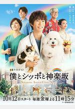 我與尾巴與神樂阪 僕とシッポと神楽阪線上看