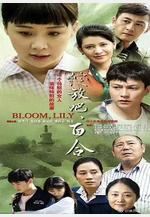 綻放吧百合線上看
