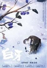 白牙 Croc-Blanc線上看