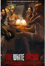 白蘭 The White Orchid線上看