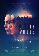 小森林 Little Woods線上看