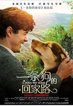 一條狗的回家路 A Dog's Way Home線上看