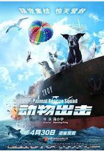 動物出擊線上看