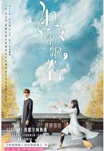 淑女飄飄拳線上看