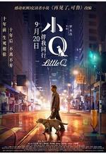 小Q線上看